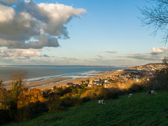 Deauville-paysage, Deauville